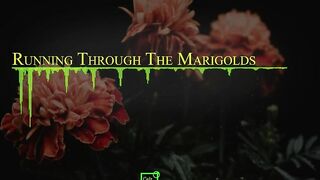 Running Through the Marigolds (Official Music Video).