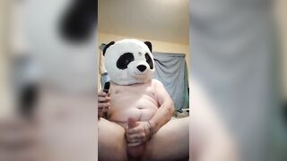 Perverted panda jerks off while I'm at work