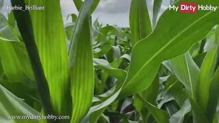 MyDirtyHobby - Slutty Teen Barbie_Brilliant Walks In The Corn Field Looking For A Nice Cock To Ride