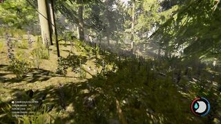 The Forest Gameplay